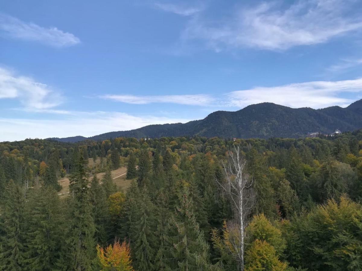 Silver Mountai G1 40 Deluxe Leilighet Poiana Brasov Eksteriør bilde