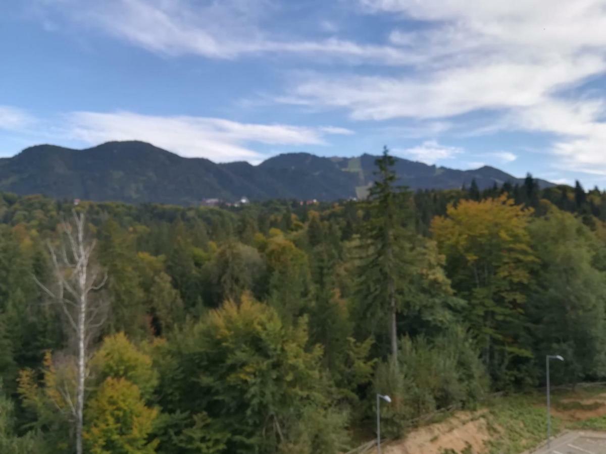 Silver Mountai G1 40 Deluxe Leilighet Poiana Brasov Eksteriør bilde
