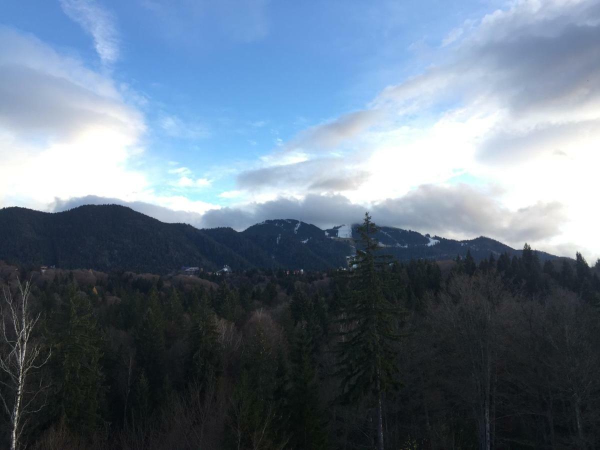 Silver Mountai G1 40 Deluxe Leilighet Poiana Brasov Eksteriør bilde